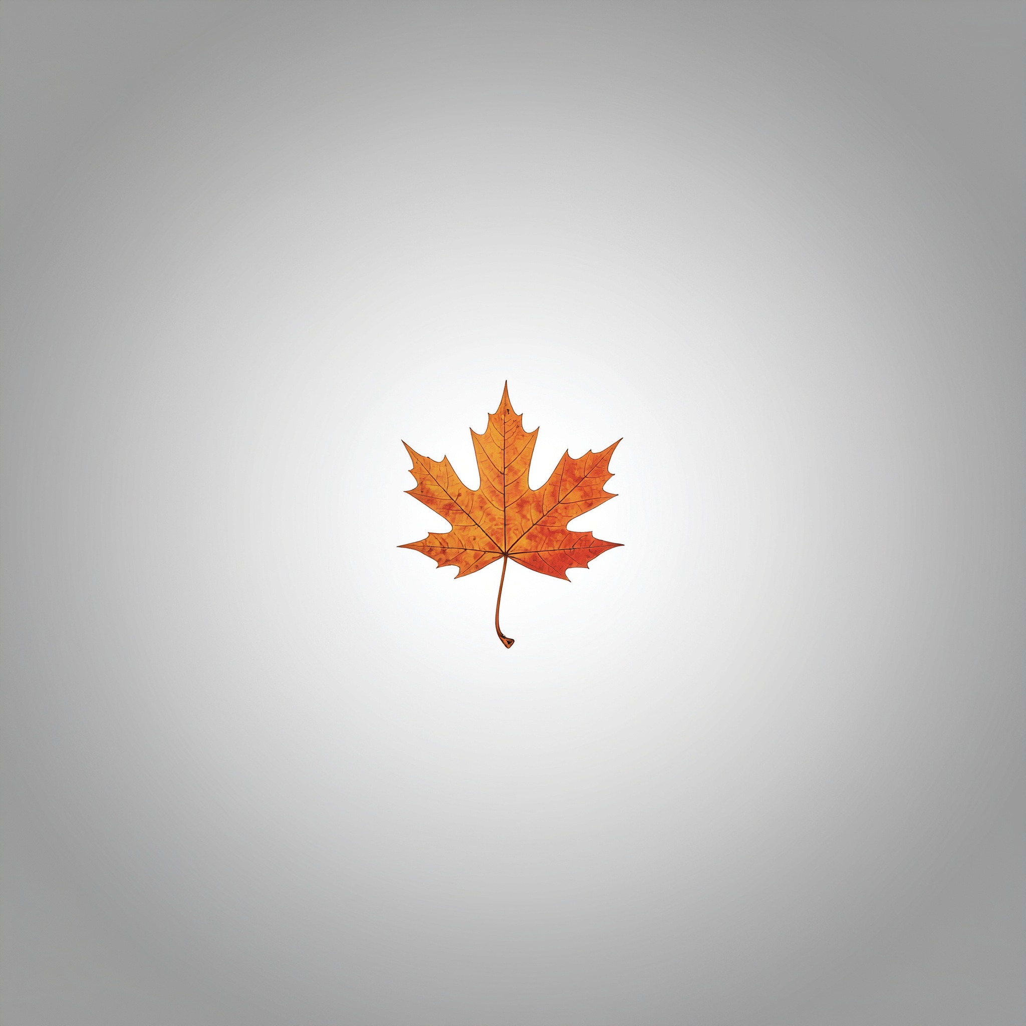 C2PA sample image: Maple leaf with embedded content authenticity manifest for verification testing